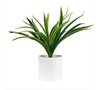 PLANTA 30CM