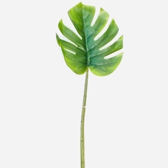 Hoja monstera verde de 70 cm de alto