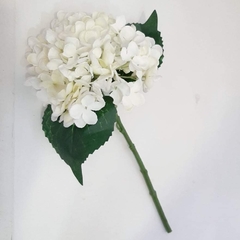 Ramo de Hortensia blanca