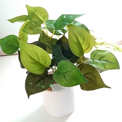 Planta en maceta blanca - comprar online