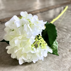 Hortensias NATURAL - comprar online