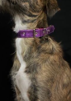 Collar > violeta - comprar online