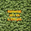 Lúpulo Chinook X 100 Grs - Cerveza Artesanal
