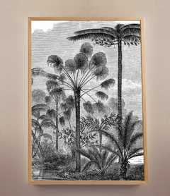 PALMS (Con vidrio)