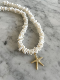 COLLAR STARFISH