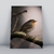 Placa Decorativa Aves Diversas 03