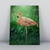 Placa Decorativa Aves Diversas 06