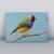 Placa Decorativa Aves Diversas 27