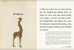 Animalium - comprar online