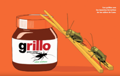 Sabor a insecto en internet