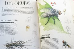 Museo vivo de los insectos - comprar online