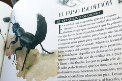 Museo vivo de los insectos - Libros Revueltos