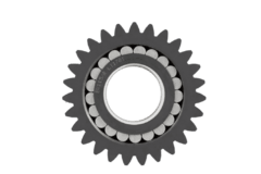 Gear with Bearing Case 4474352179 on internet