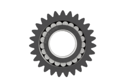 Gear with Bearing Case 8603618 on internet