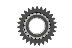 Gear with Bearing Case 84329416 on internet