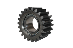 Gear with Bearing Case 71467806 - online store