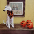 scarf-halloween-for-dogs-gp-pet-wear