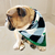 Dog Scarf, Lina Art & Desingn, for All Breeds Dogs, Green Plaid, GP Pet Wear
