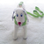 dog-harness-and-Leash-for-yorkshire-mini