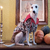 Halloween clothes for dogs GP Pet Wear