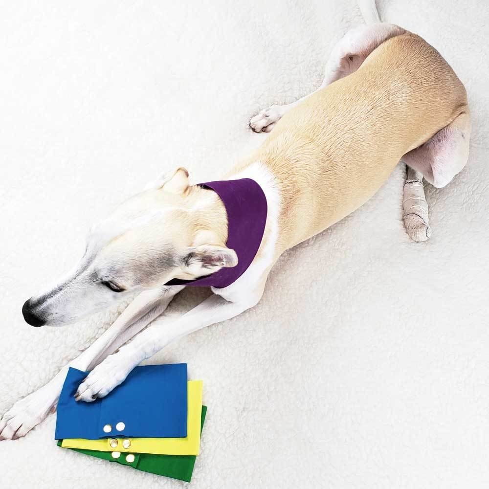 Dog neck protector hot sale