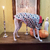 Clothes for Whippets Halloween shirt GP Pet Wear