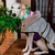 twin-set- clothing-for-whippets-gp-pet-wear
