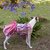 Dress for dogs with on the back bubble gum pink grosgrain bow on the back.