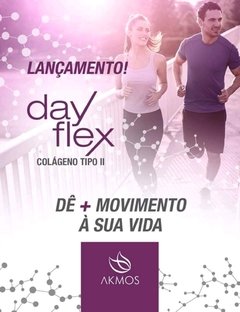 Colágeno Tipo 2 Day Flex - loja online