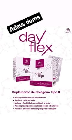 Colágeno Tipo 2 Day Flex - loja online
