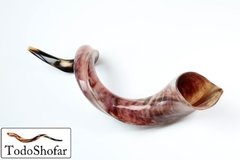 Shofar Yemenita, L, Entre 80 Y 88 Cms + Manual