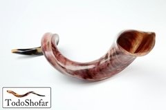 Shofar Yemenita, Jumbo, 100-107 Cm. + Manual