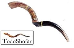 Shofar Leon De Judas Xlarge De 1 metro. + Manual