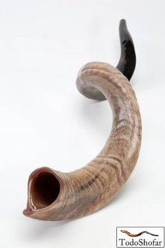 Shofar Yemenita XL , 89 a 99 Cm. +Manual - comprar online