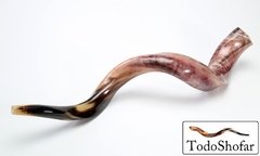 Shofar Yemenita XL , 89 a 99 Cm. +Manual