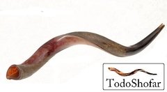 Shofar Yemenita, Medium, 70-79 Cm +Manual