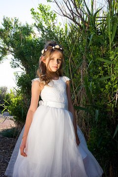Vestido Princesa Daminha - comprar online