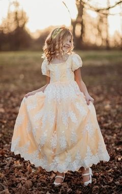 Vestido Infantil Princesa Classico Bordado na internet