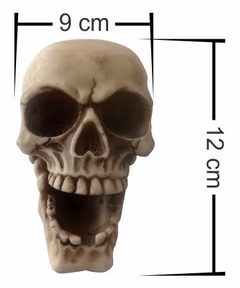 Skull Bones Mod 1 na internet