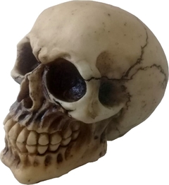 Skull Bones Mod 2