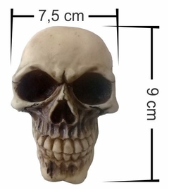 Skull Bones Mod 2 na internet