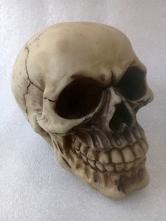 Skull Bones Mod 2 - comprar online