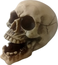 Skull Bones Mod 1