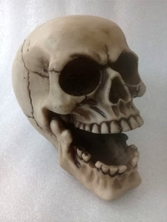 Skull Bones Mod 1 - comprar online