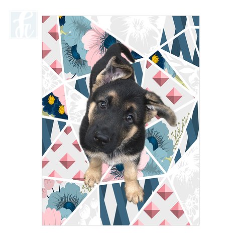 Placa Decor Pet Personalizada - Geométrico Floral Azul