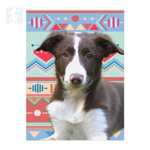 Placa Decor Pet Personalizada - Etnic Color