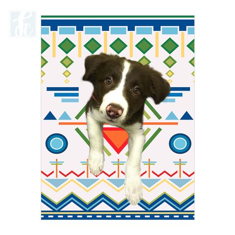 Placa Decor Pet Personalizada - Etnica Azul, Verde e Laranja