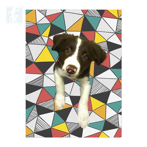 Placa Decor Pet Personalizada - Triângulos Color