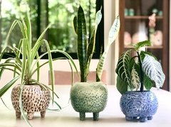 Maceta cerámica PINTITAS GREEN by Cata Spinetta en internet