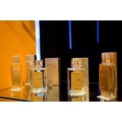 Perfumes Hinode 2331 Lapidius - comprar online